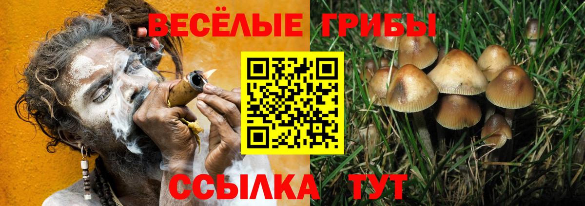 Галлюциногенные грибы Magic Shrooms Протвино